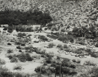 Harold%20Jones%2C%20%3Cb%3E%3Ci%3E%20Baptism%2C%20Sabino%20Canyon%2C%20from%20the%20portfolio%20American%20Roads%3C%2Fi%3E%3C%2Fb%3E%2C%201976%2C%20gelatin%20silver%20print%2C%20Gift%20of%20Arthur%20Taussig%2C%20%26%23169%3B%20unknown%2C%20research%20required%2C%202012.10.20h